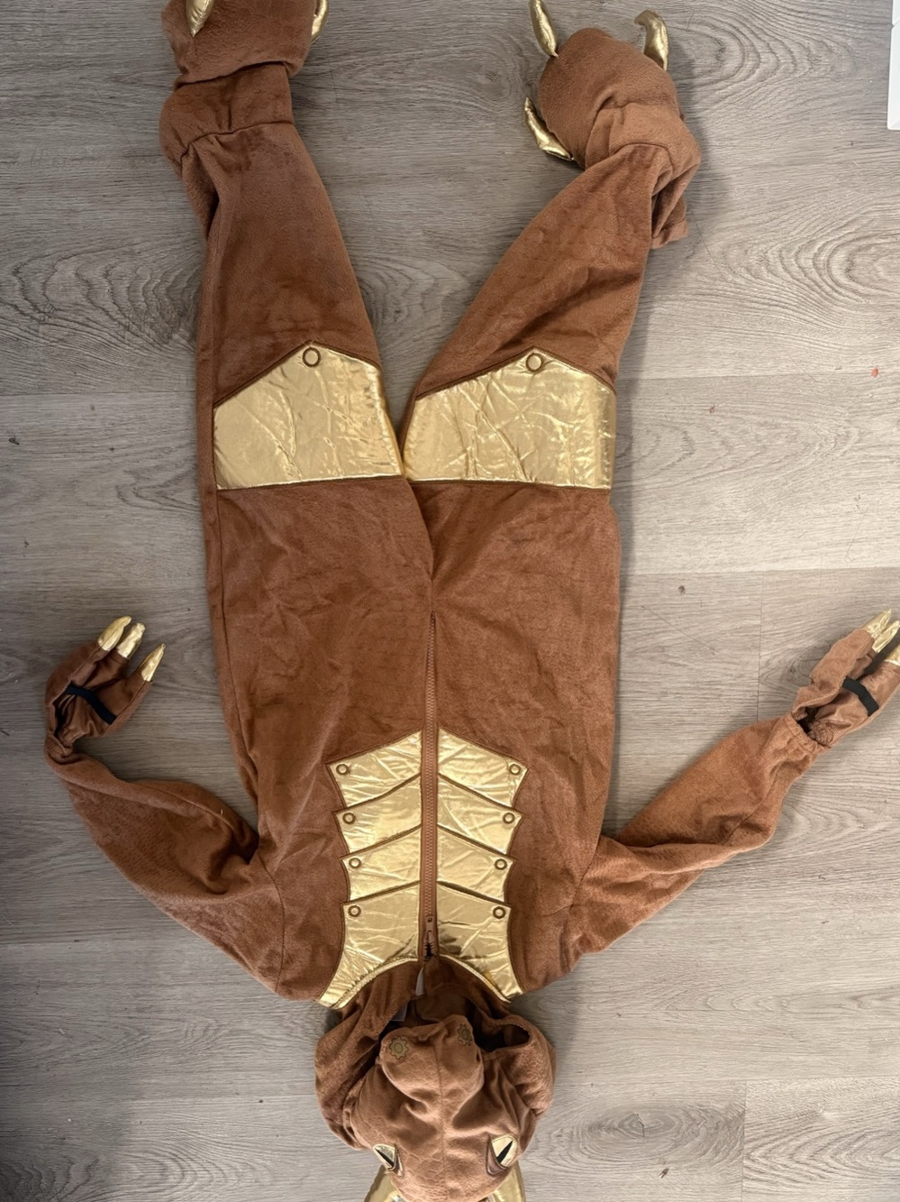 Dragon costume